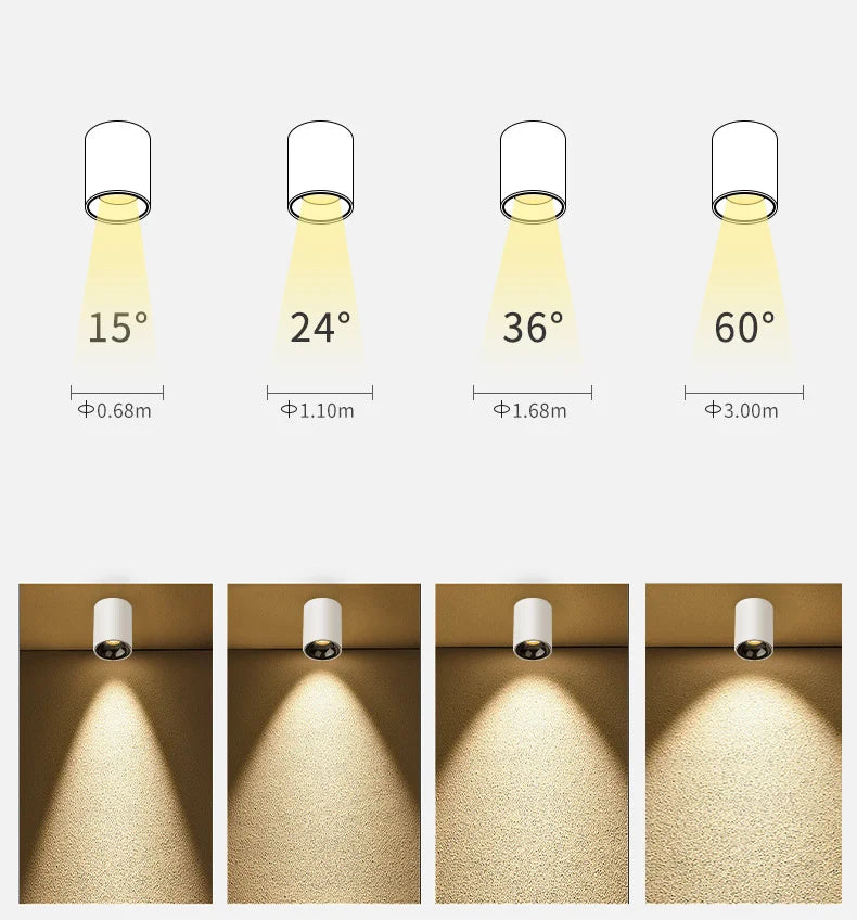 Black Ceiling Mounted Cylinder Led Lamp