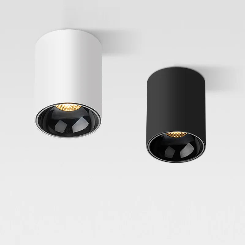 Black Ceiling Mounted Cylinder Led Lamp