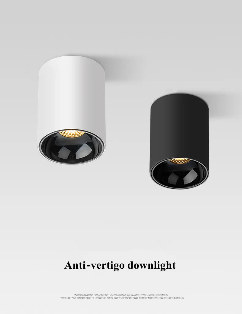 White Ceiling Mounted Cylinder Led Lamp