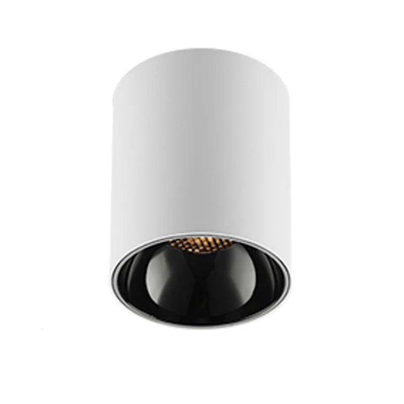 White Ceiling Mounted Cylinder Led Lamp