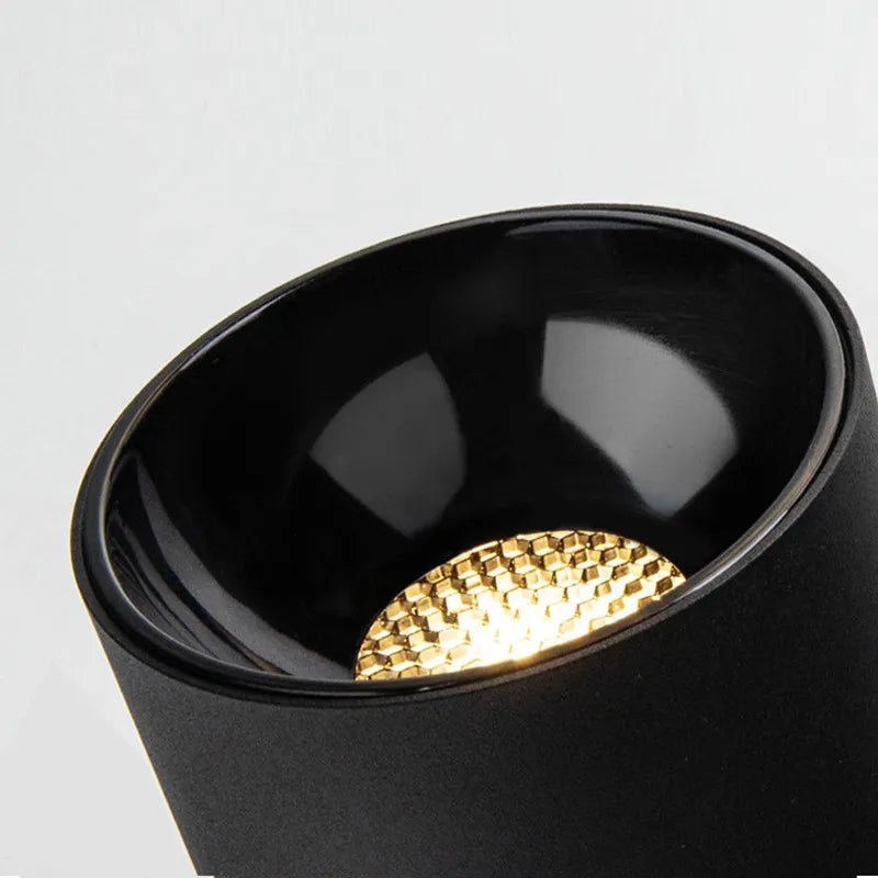 Black Ceiling Mounted Cylinder Led Lamp