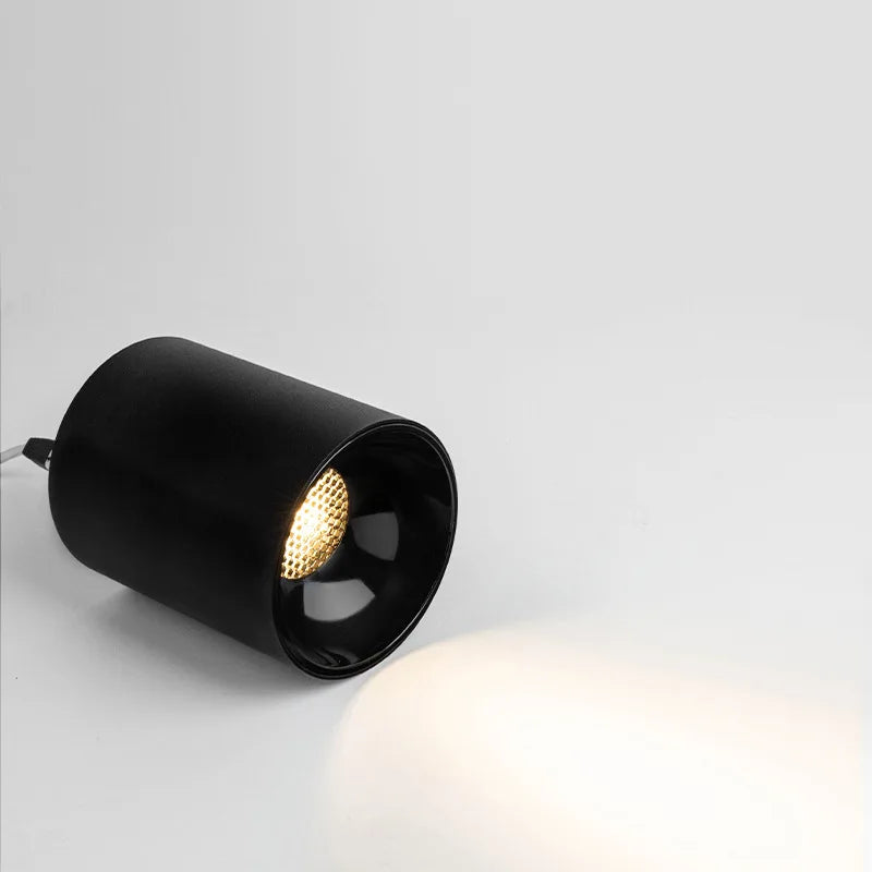 Black Ceiling Mounted Cylinder Led Lamp