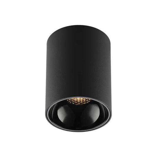 Black Ceiling Mounted Cylinder Led Lamp