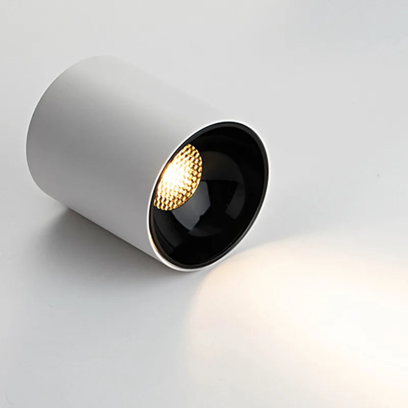 White Ceiling Mounted Cylinder Led Lamp