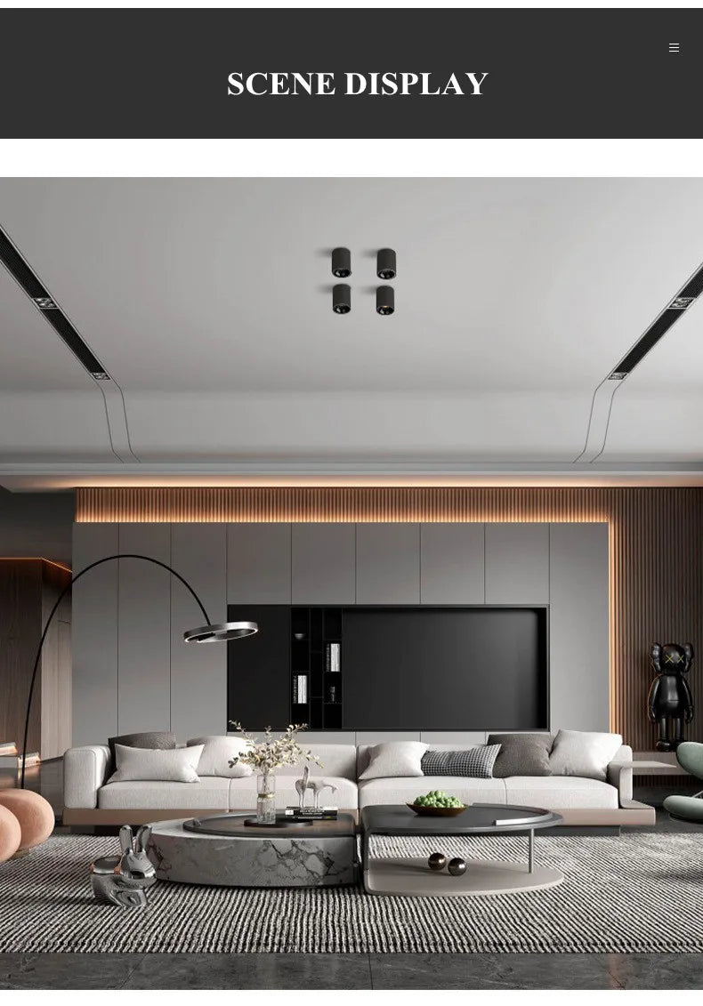 Black Ceiling Mounted Cylinder Led Lamp