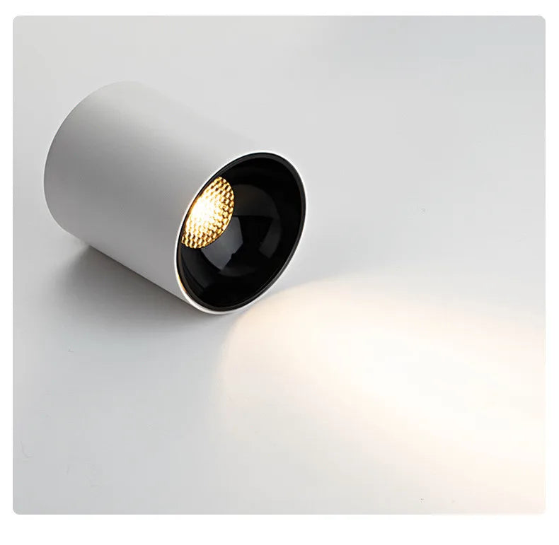 White Ceiling Mounted Cylinder Led Lamp