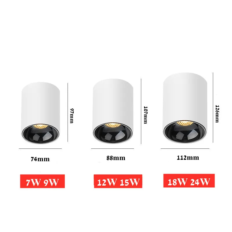 Black Ceiling Mounted Cylinder Led Lamp