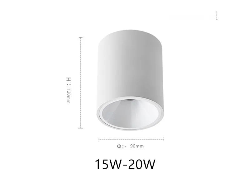 Waterproof White Ceiling Mounted LED lamp Indoors & Outdoors