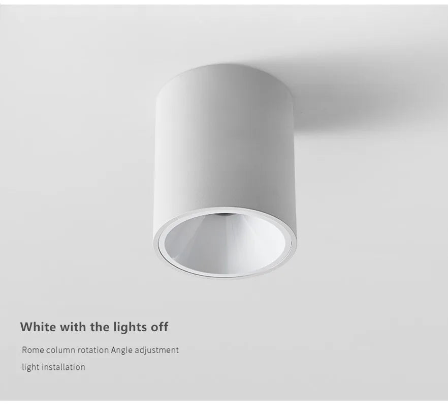 Waterproof White Ceiling Mounted LED lamp Indoors & Outdoors