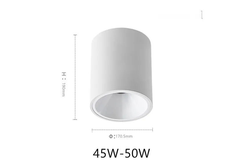 Waterproof White Ceiling Mounted LED lamp Indoors & Outdoors