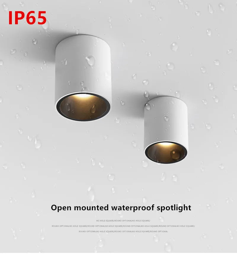 Waterproof white & Black Ceiling Mounted LED lamp Indoors & Outdoors