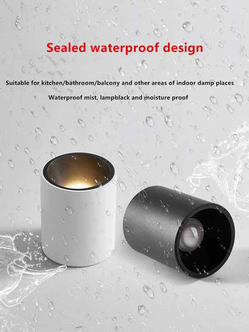 Waterproof Black Ceiling Mounted LED lamp Indoors & Outdoors