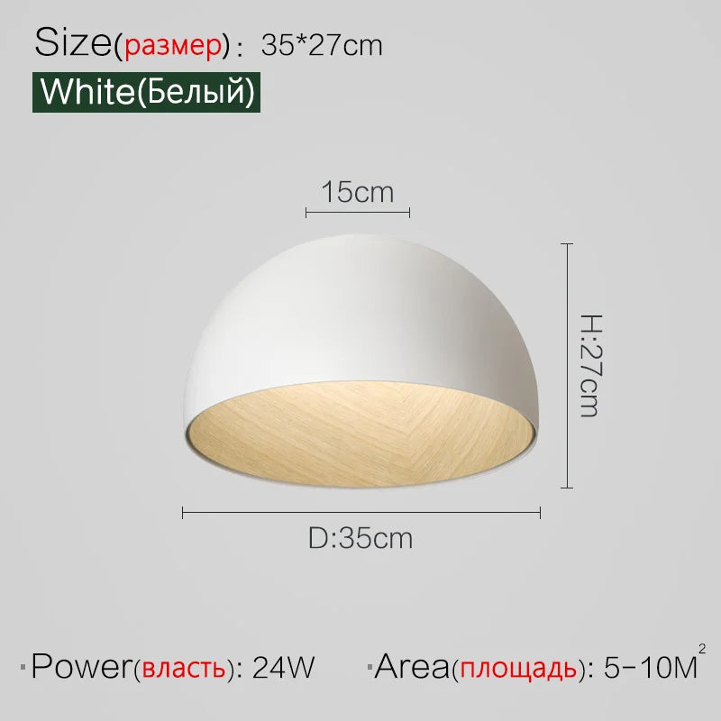 Metal Ceiling Led Lamp Inclined